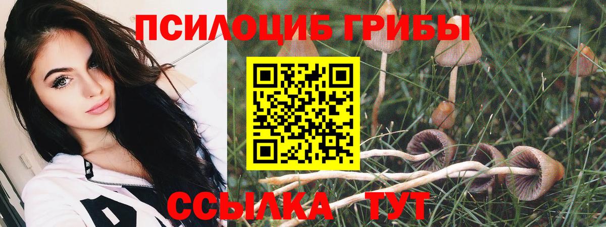 Галлюциногенные грибы мицелий  Вход с VPN  Красноярск 